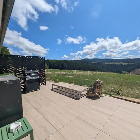 Semesterbostad La Maison Du Bois Dargent - Wifi, Netflix, Prime Video, En Option Riotord